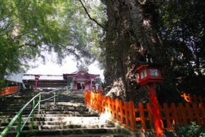 新田神社1