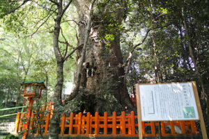 新田神社2
