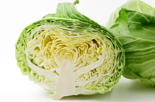 白色野菜の写真