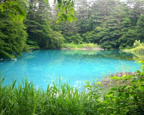 五色沼(青沼)の写真