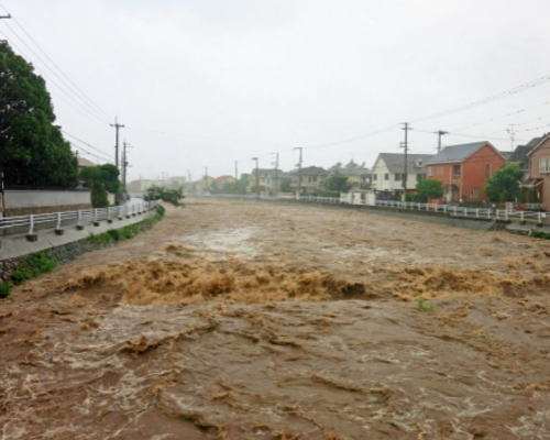 洪水の写真