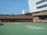 札幌競馬場のパドック