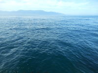 積丹の海
