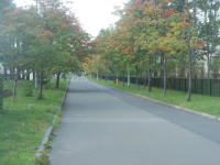 五輪団地の9月の風景