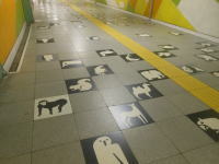 円山公園駅の通路