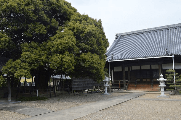 乗蓮寺